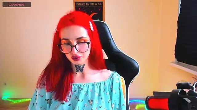 your_tora webcam