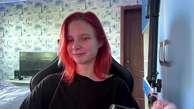 PlumbicPart webcam