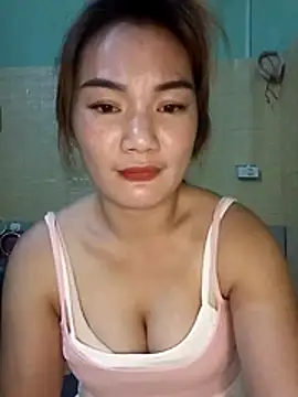 Voiva11 webcam
