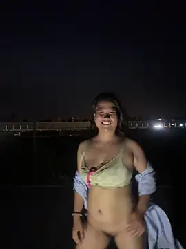 wagoudan webcam