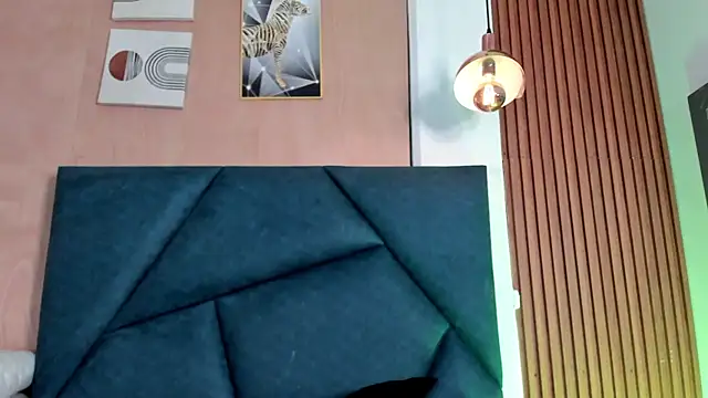 LaurentFerrer webcam