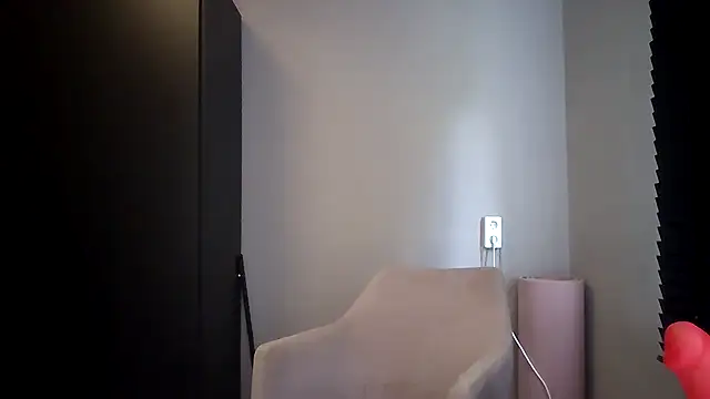 avajade webcam