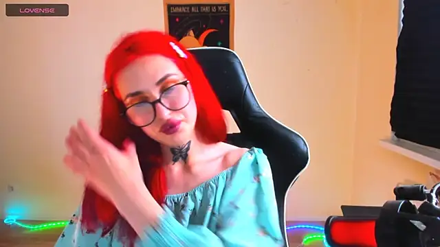 your_tora webcam