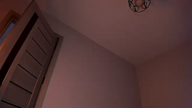 missinfull webcam