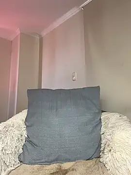 Samispank webcam
