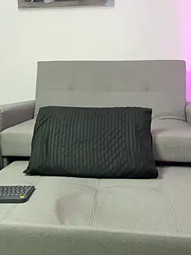 BrayaanFit webcam
