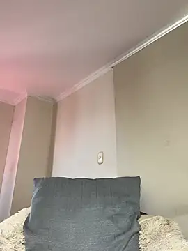 Samispank webcam
