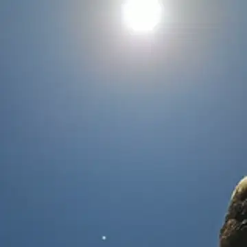 Trucker_Hunter