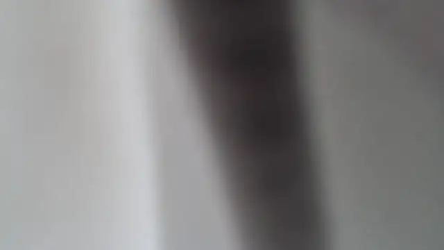 Olgahunder webcam