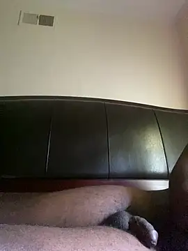 ThickDic28 webcam