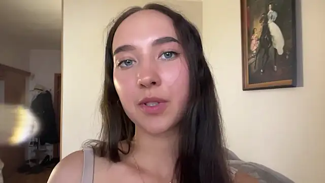 Liesenaniles webcam