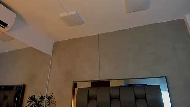 Charlie___Musk webcam