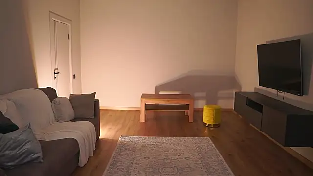 AdaBell webcam