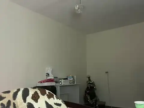ToddWarren webcam