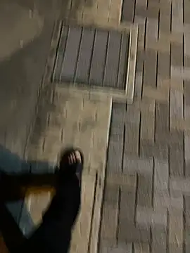 SL_NIKI_PUBLIC webcam