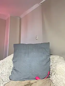 Samispank webcam