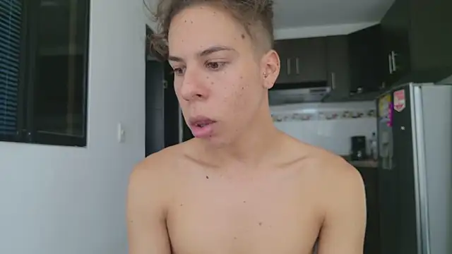 grey___27 webcam