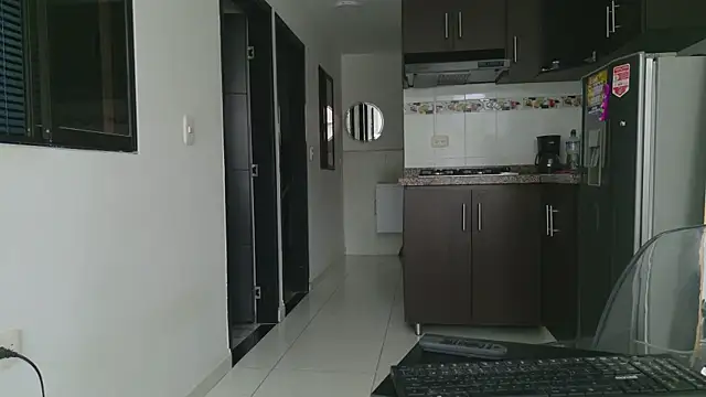 grey___27 webcam