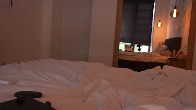 ibiddi webcam