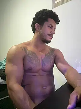 Sanicrt webcam