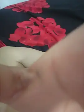 Sara-Arabica webcam