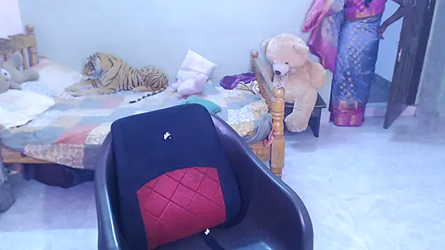 Novapol11 webcam