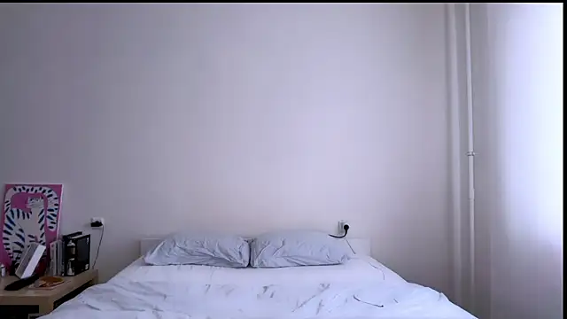 Milky___Way webcam
