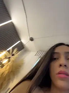 Ema_azel webcam