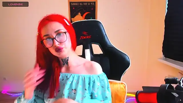 your_tora webcam