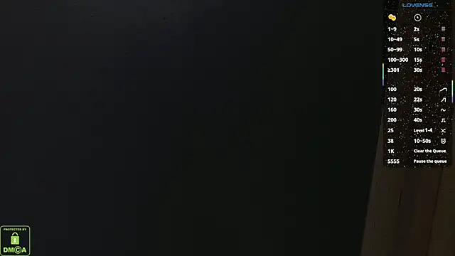 maya_snow webcam