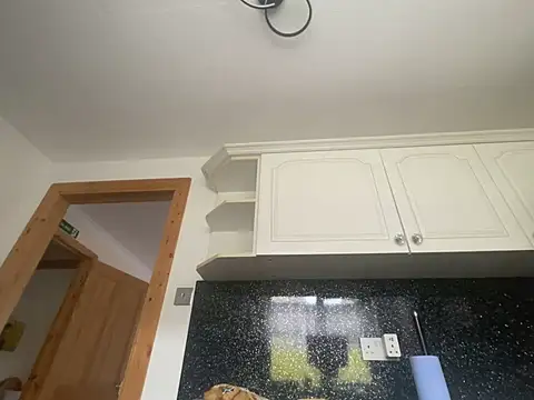 FoxyValentine webcam