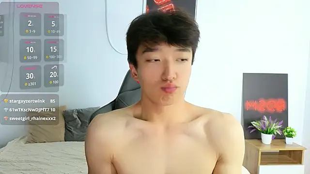 DianInav webcam