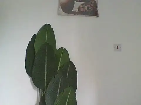 cutedaisy22 - Cutedaisy22's free webcam - UK Sex Cams