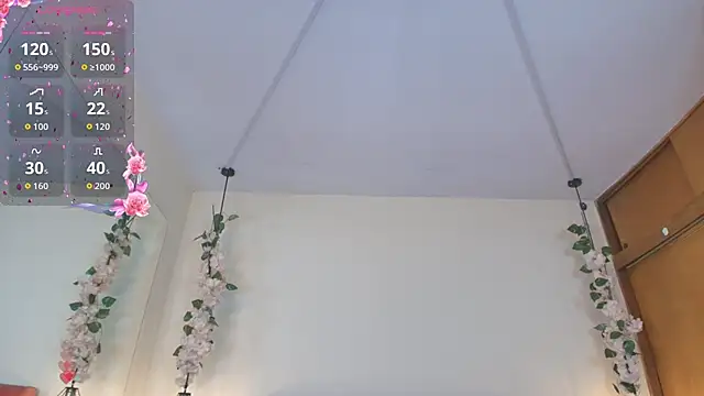 Athompzon webcam