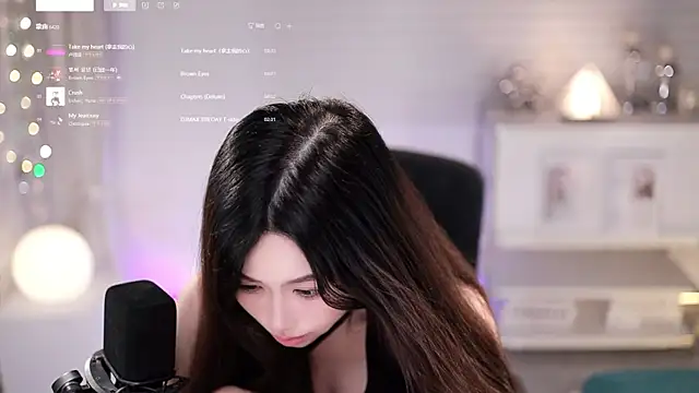 SleepArtist webcam