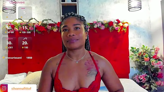 SilvannaFit webcam