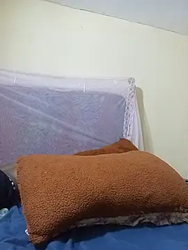 CRIBANN webcam