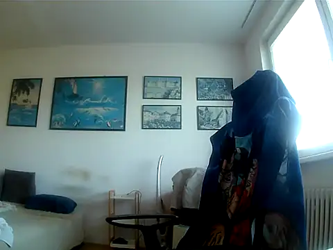 Robert_SK1 webcam