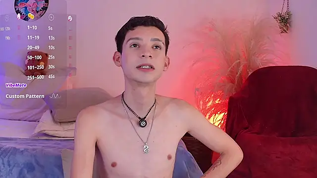 VicenteFerrer webcam