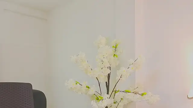 InnaVolkova webcam