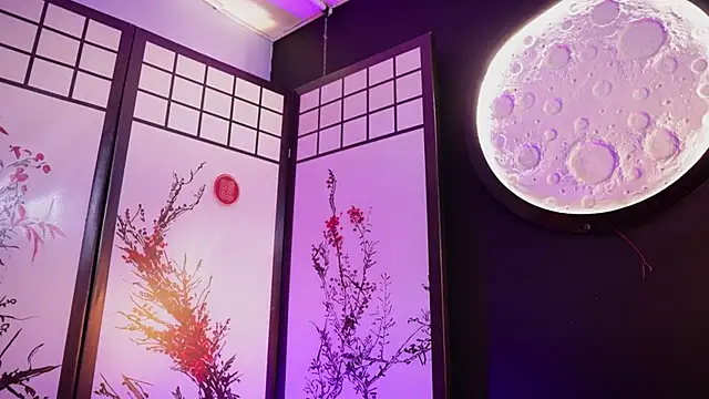 Greiz_SubKimura webcam
