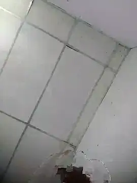 Noscay webcam