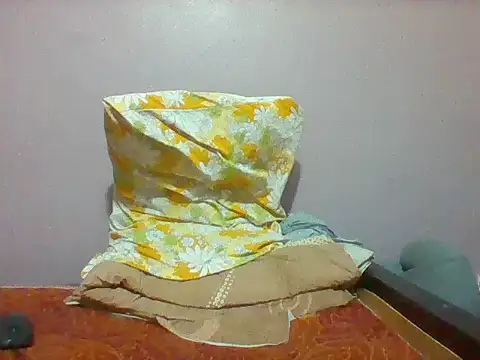 mislover webcam