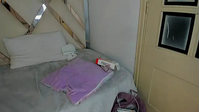 hallyasm webcam