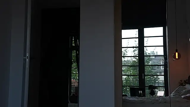 ibiddi webcam