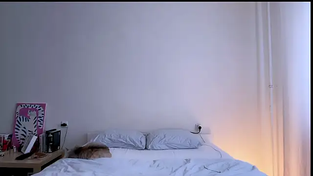 Milky___Way webcam