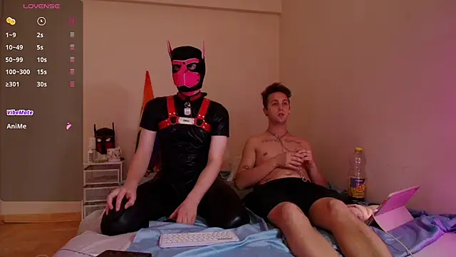 K9_GoodBoy