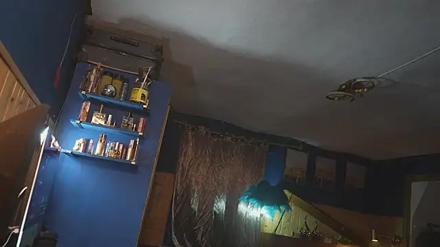 VanessaDoyle webcam