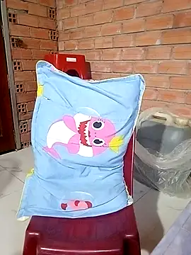 Chammy720 webcam