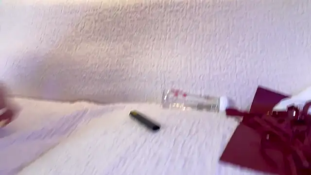 DouDou-- webcam